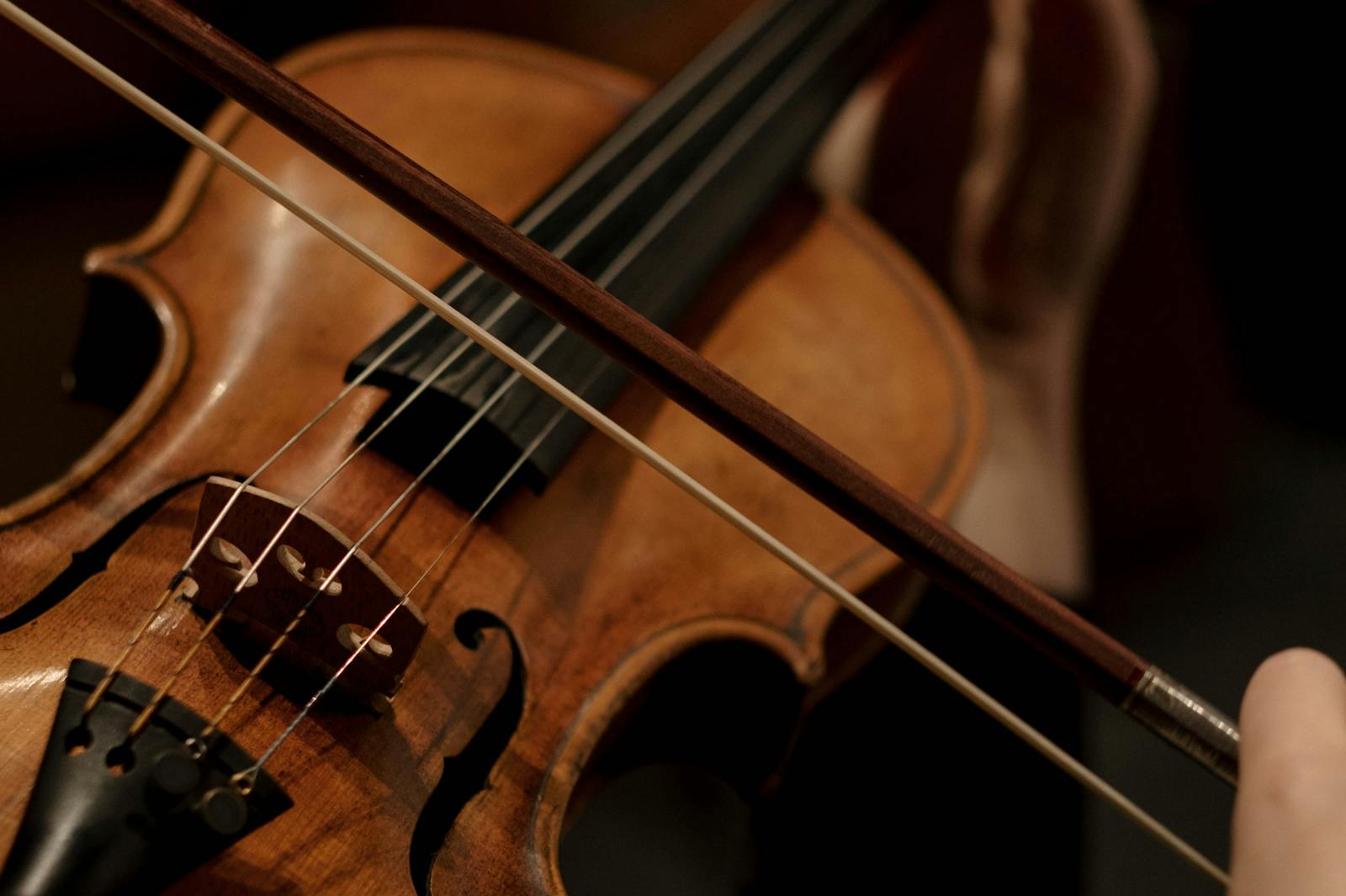 This is an example description for this item.